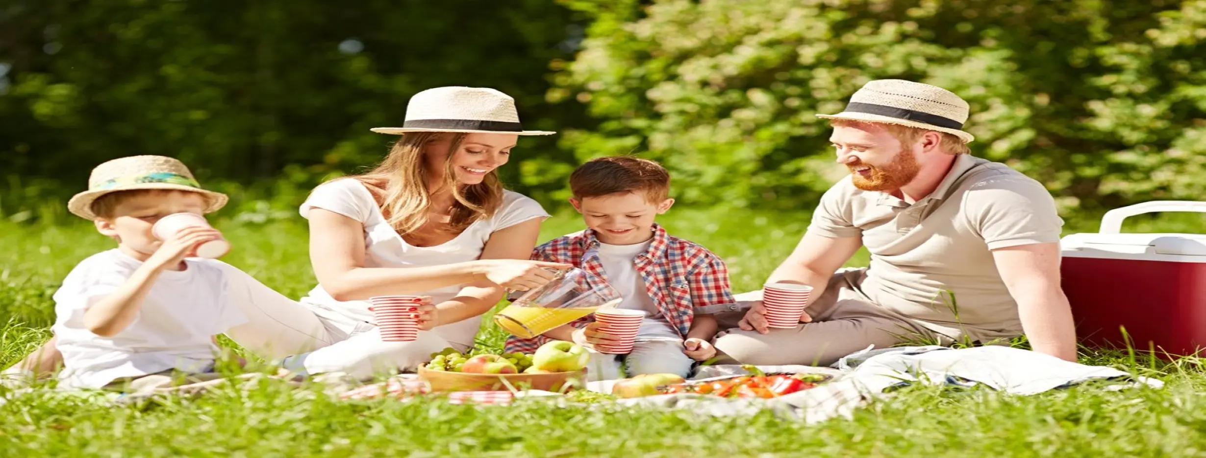 Image for Fujairah Dam Picnic